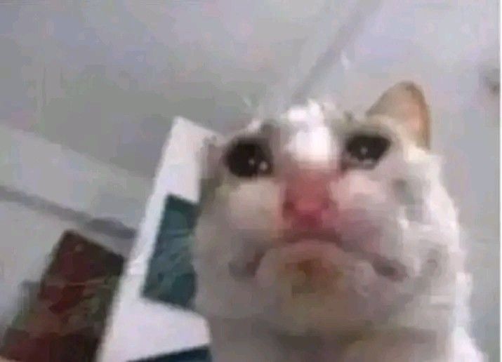 :3
